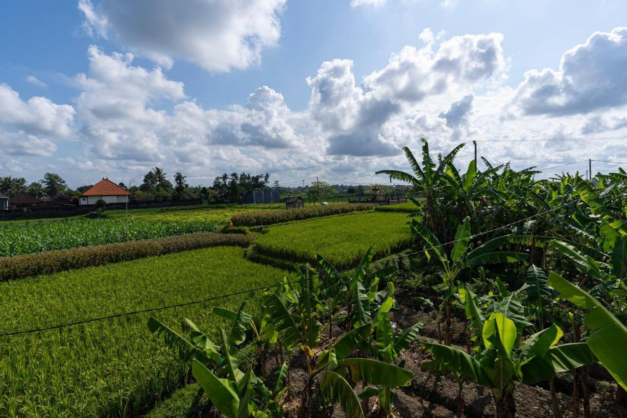 Villa Oemah Joglo Bali Ubud Esterno foto